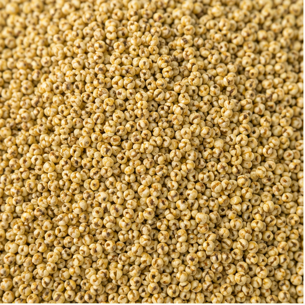 Yellow Barnyard Millet Seeds