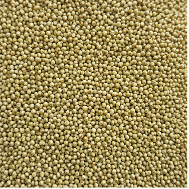 Brown Top Millet Seeds