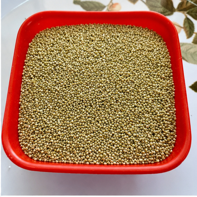 Brown Top Millet Seeds
