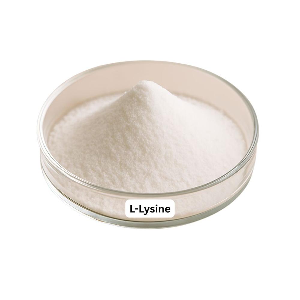 L-LYSINE HCL