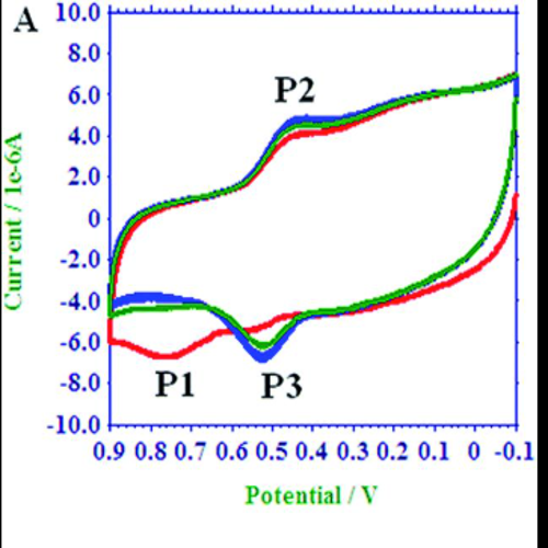 Glassy Carbon Working Electrode