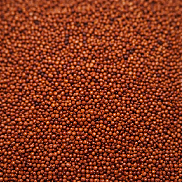Dark Brown Finger Millet Seeds
