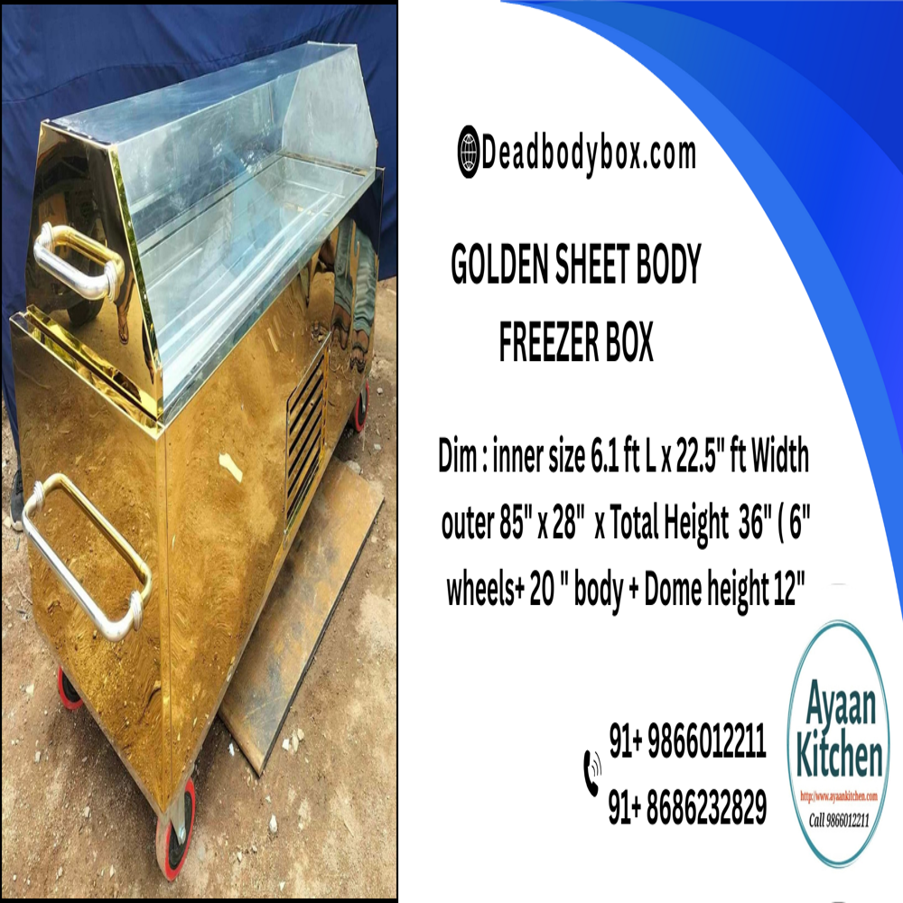 Golden Stainless Steel Dead Body Freezer Box