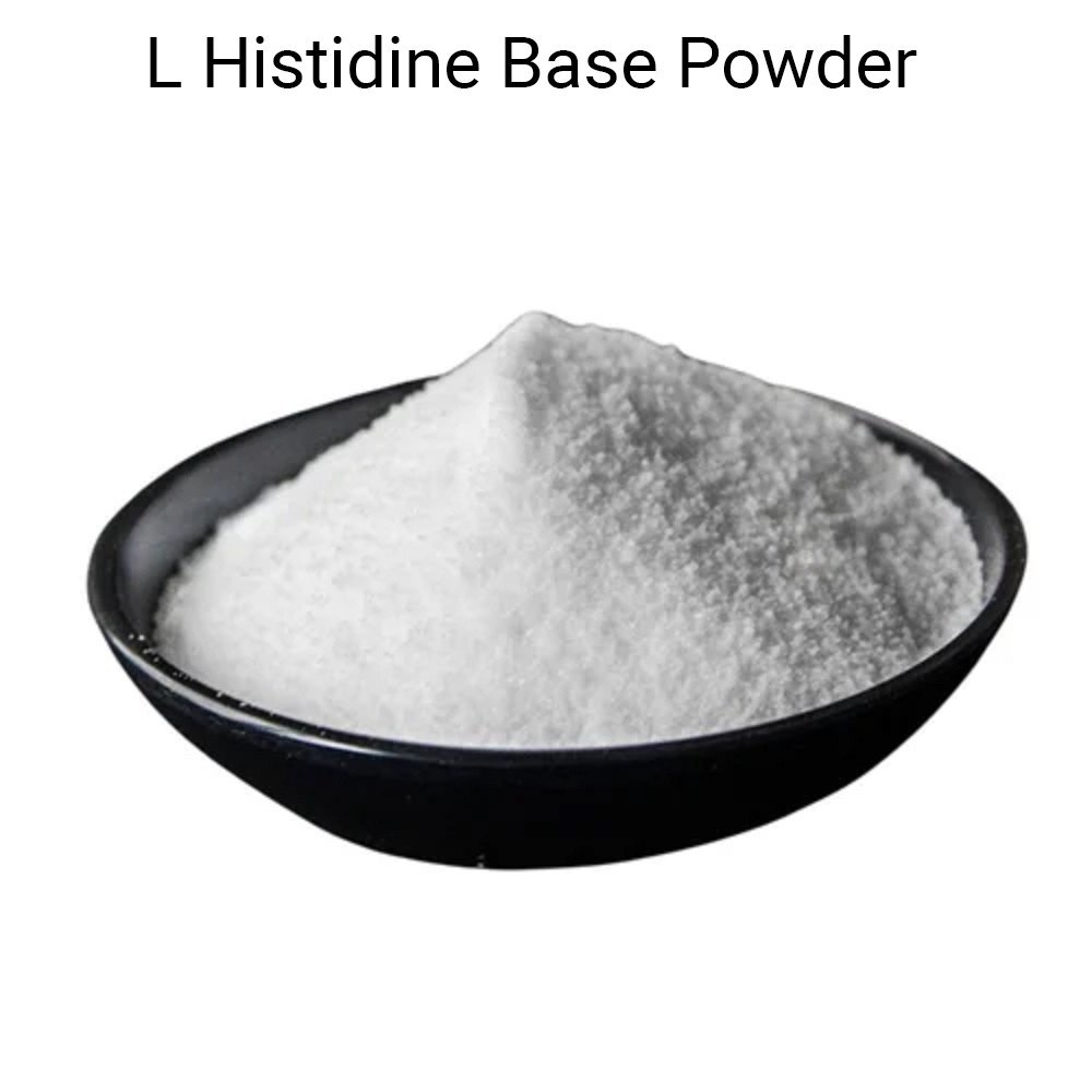 L-histidine Base Powder - Avanscure Lifesciences Pvt. Ltd