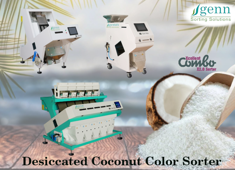Dessicated Coconut Color Sorter