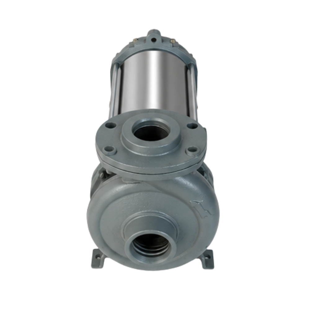 V-9 Horizontal Openwell Pump