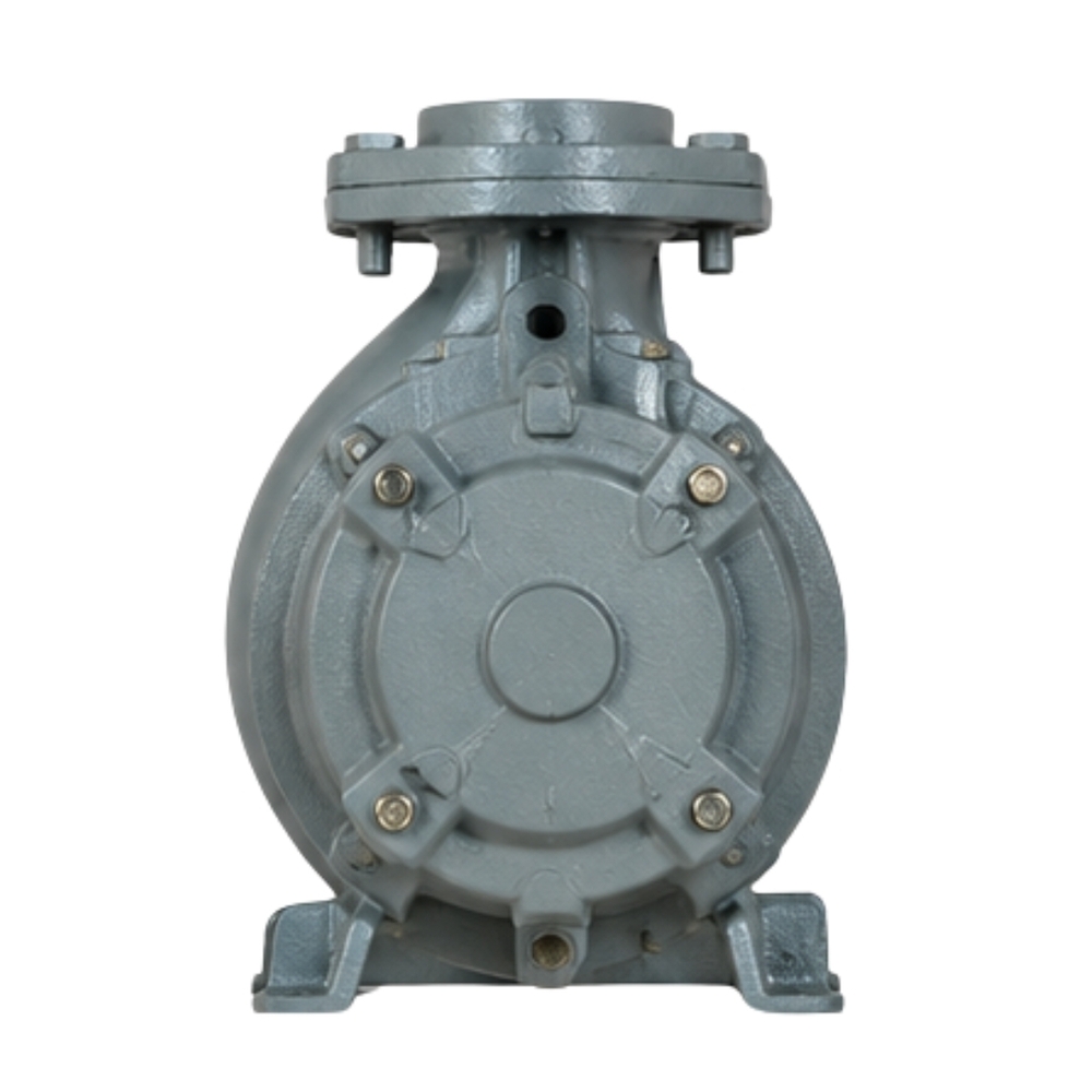V-9 Horizontal Openwell Pump - Application: Submersible