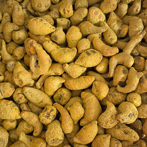 Raw Turmeric