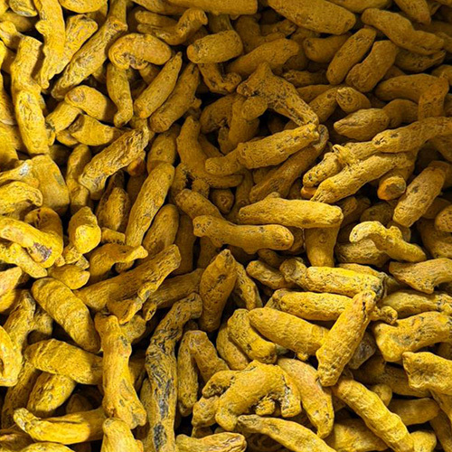 Raw Turmeric
