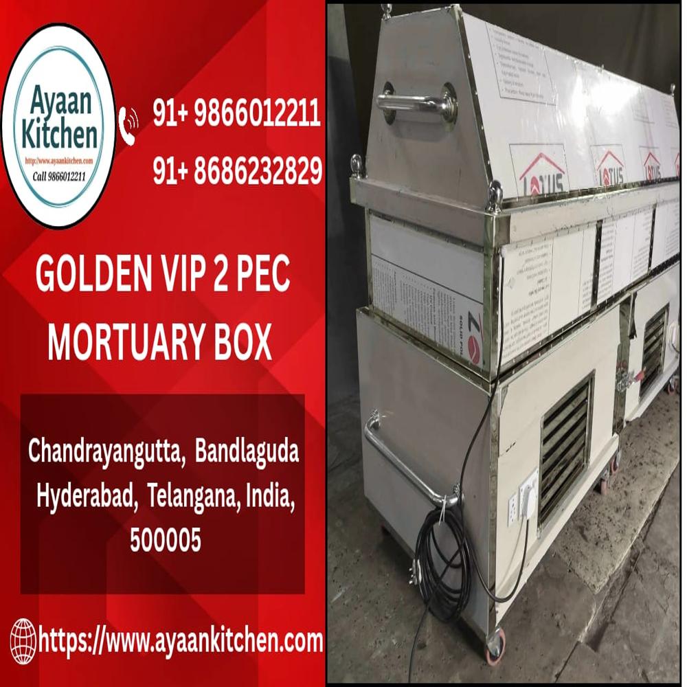 Dead Body Freezer Box VIP Model Golden