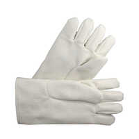 Asbestos Gloves