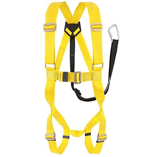 Full Body Belt