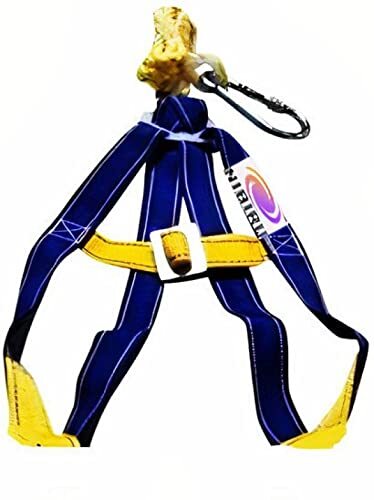 Half Body Belt
