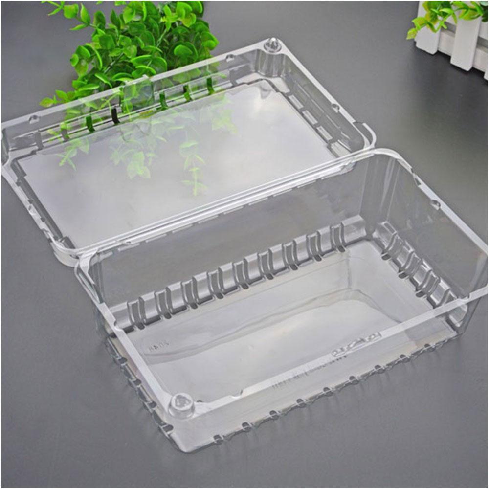 PET Blister Tray