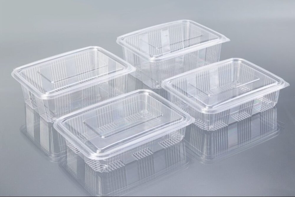Transparent PET Hinged Box
