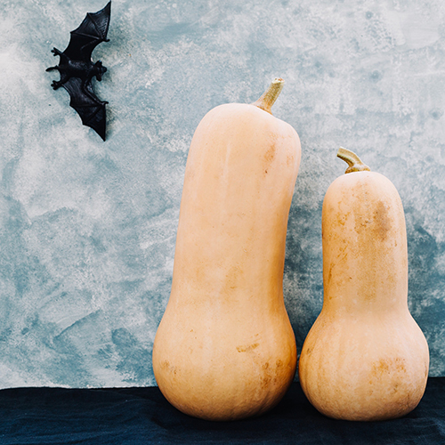 Frozen Bottle Gourd