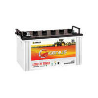 Automotive Batteries