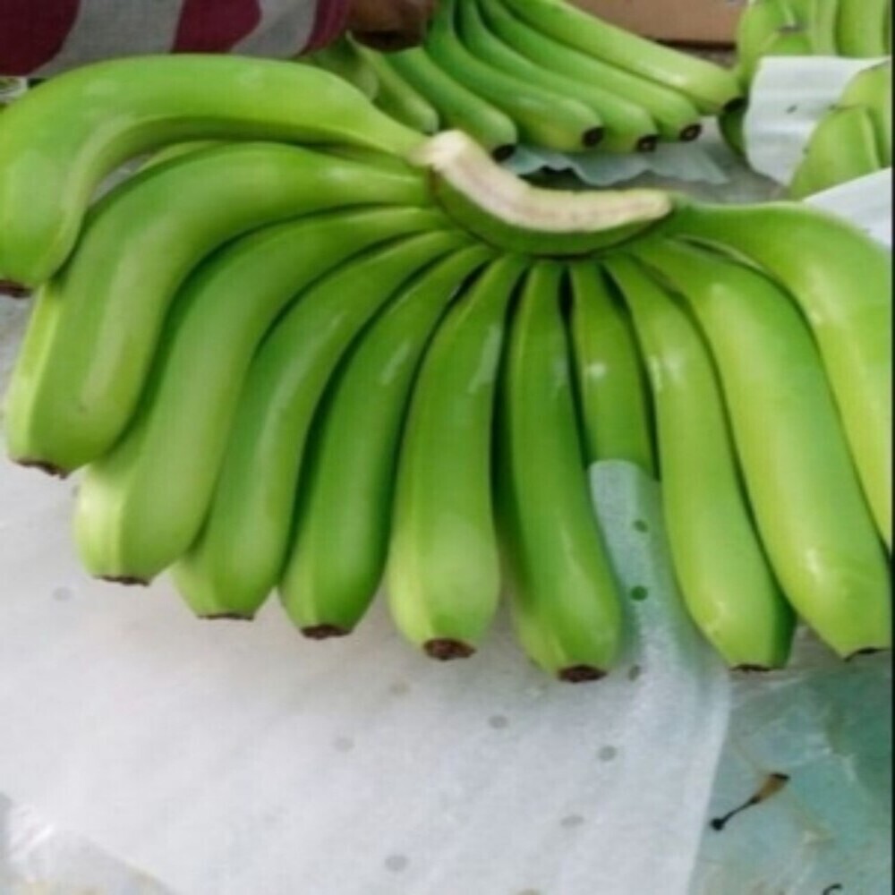 Fresh banana G9