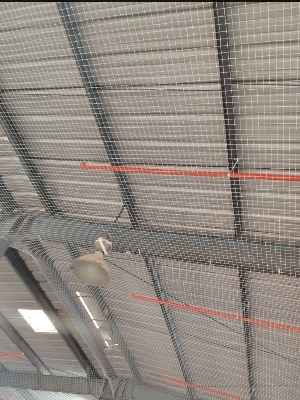 Bird Net - Color: White