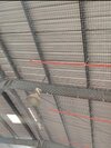 Bird Net