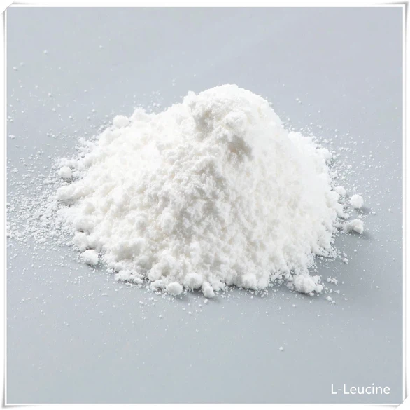 L-LEUCINE POWDER