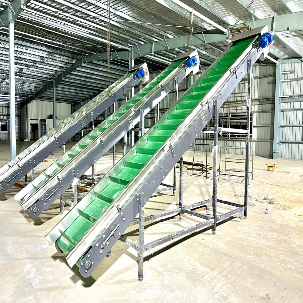 Truck loading conveyor