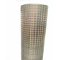 Iron Wire Mesh
