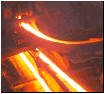 Slitter Plant
