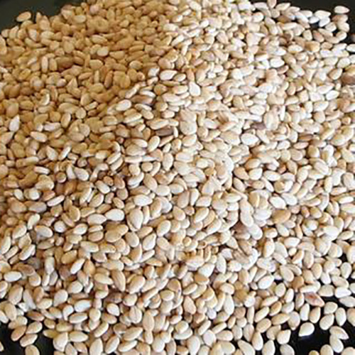 Sesame Seeds