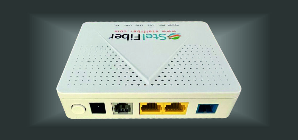 GPE300 Optical Network Unit