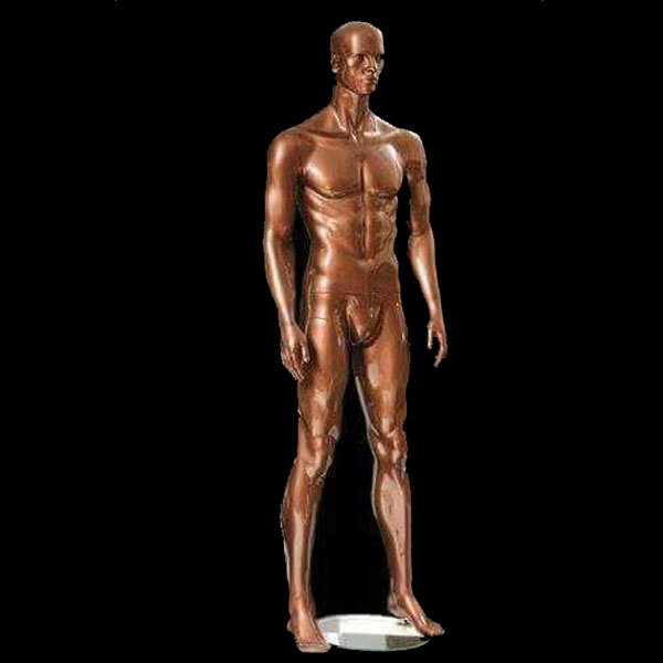 Male Mannequin