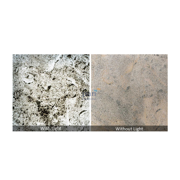 Silver Grey UV Translucent Stone Veneer