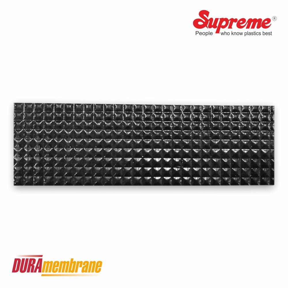 Dura membrane