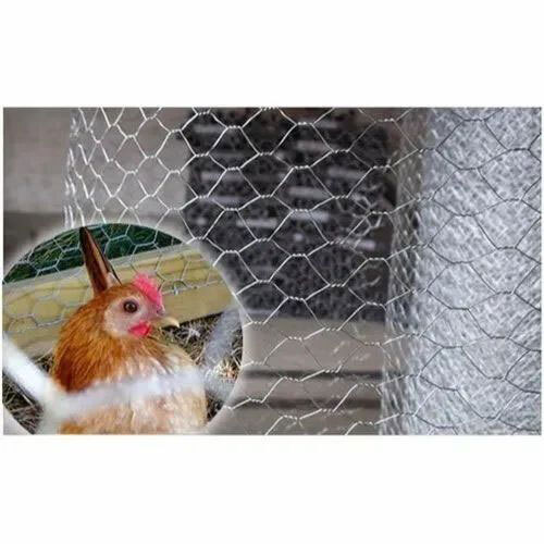 Zinc Coated GI Chicken Mesh