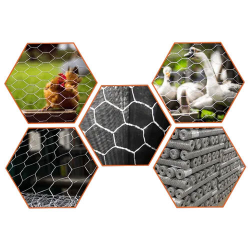 Zinc Coated GI Chicken Mesh