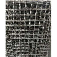 Spring Steel Crimped Wire Mesh