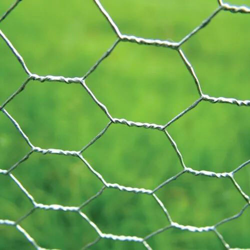 Chicken Wire Mesh