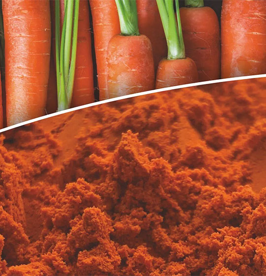 BETA CAROTENE
