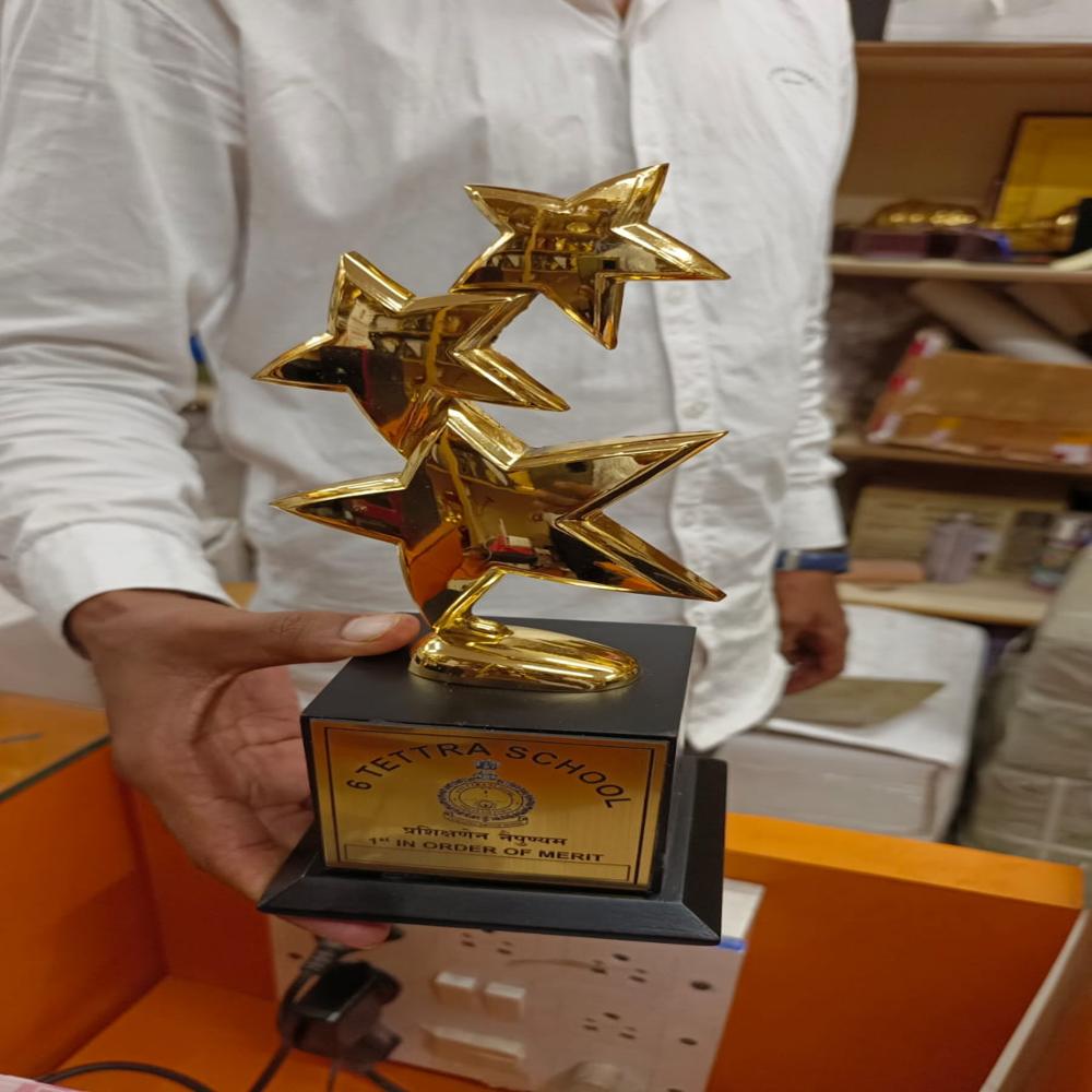 Bravo Trophies - Color: All Colors
