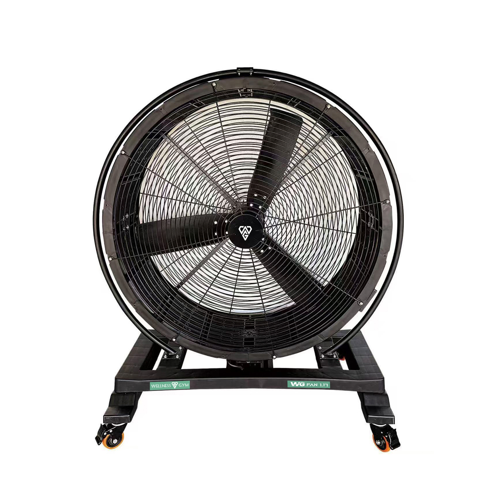 wg fan 1.17 gym fan