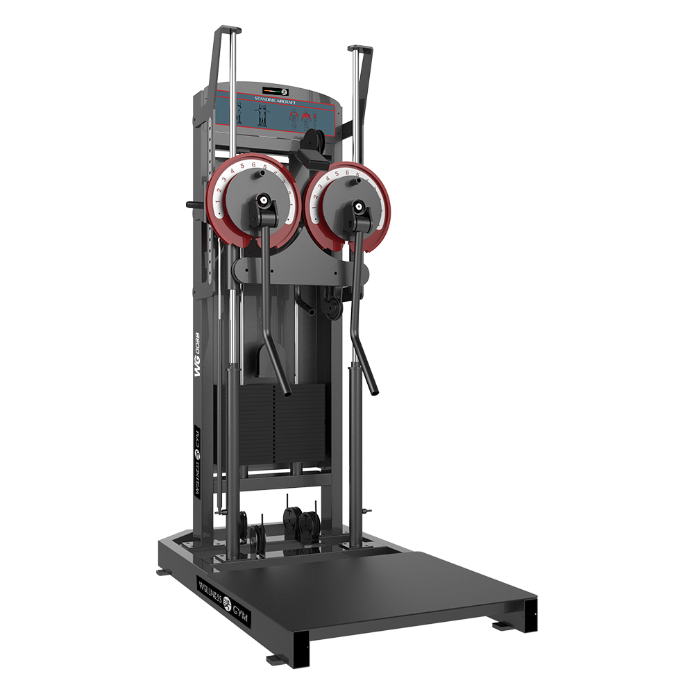 wg 003b Lateral raise - pec fly
