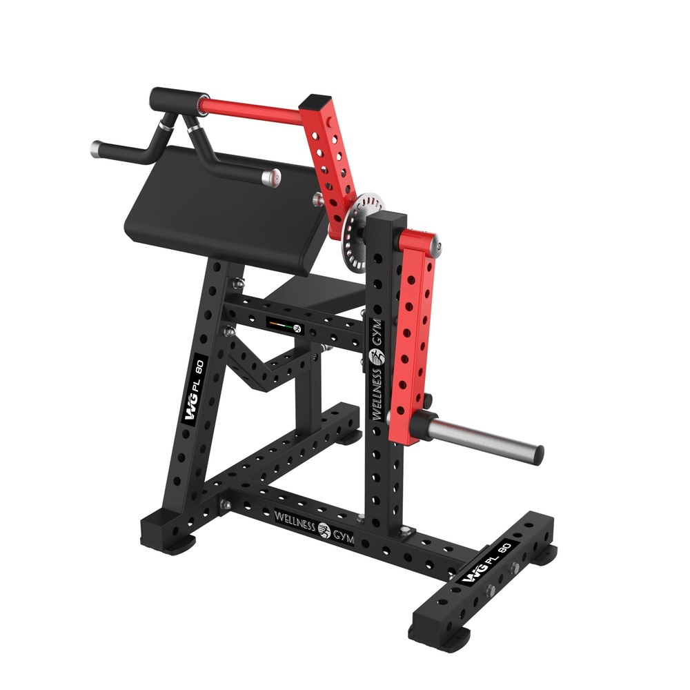 wg pl80 Bicep and Tricep