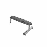wg 20 36 flat bench