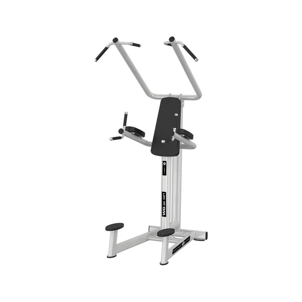 wg30 027 vertical knee raise