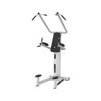 Wg30 027 Vertical Knee Raise