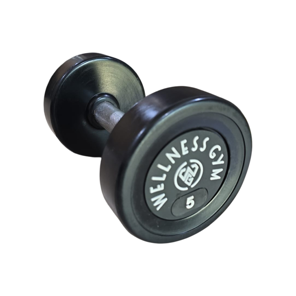 indian dumbbells