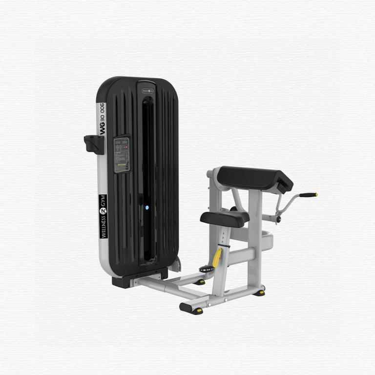 WG30 006 Biceps curl