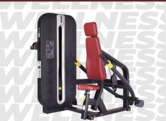 WG 007 Triceps press