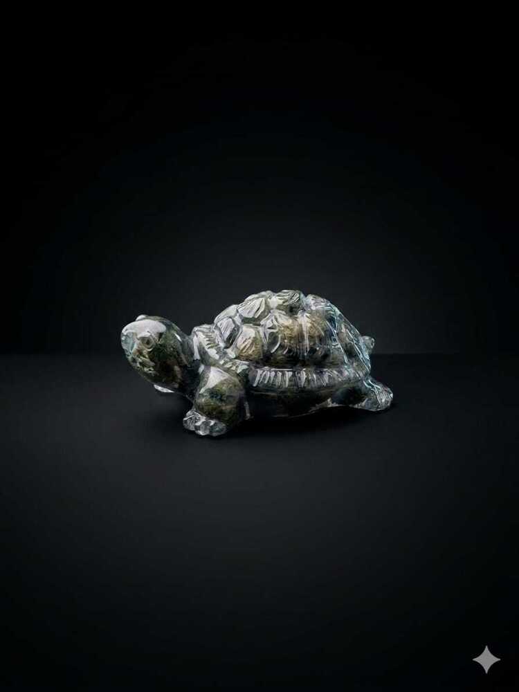 Pyrite Kachua