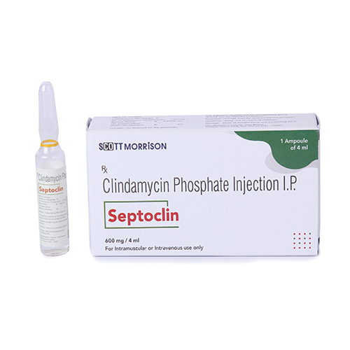 Septoclin Injection